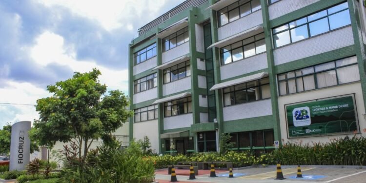 Fiocruz oferece oportunidades de estágio em Manaus com bolsas que passam de R$ 1,5 mil