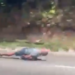 Homem desce deitado em skate entre carros e caminhões na Avenida do Turismo, em Manaus