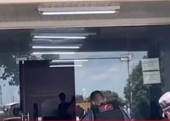 Confusão familiar termina com dois cunhados presos após armas e animais serem encontrados em Manacapuru
