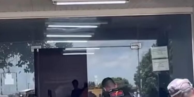 Confusão familiar termina com dois cunhados presos após armas e animais serem encontrados em Manacapuru