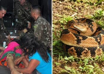 Indígena Deni de 12 anos é resgatada após picada de cobra no AM