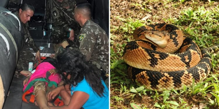 Indígena Deni de 12 anos é resgatada após picada de cobra no AM