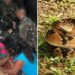 Indígena Deni de 12 anos é resgatada após picada de cobra no AM