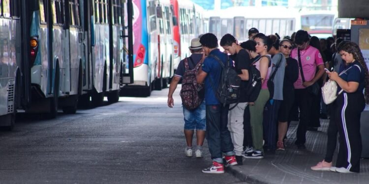 Eleições 2026: como funcionará a gratuidade do transporte em Manaus