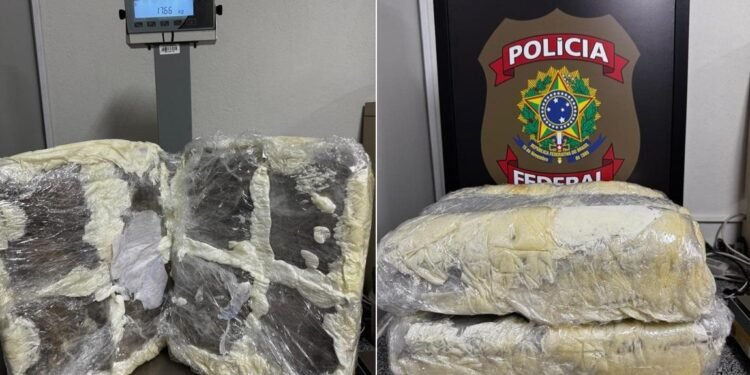 Manauara é presa com 33,9 kg de skunk em aeroporto de Recife