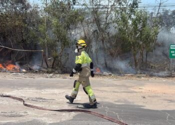 Incêndio volta a atingir área de vegetação no Distrito Industrial II, em Manaus
