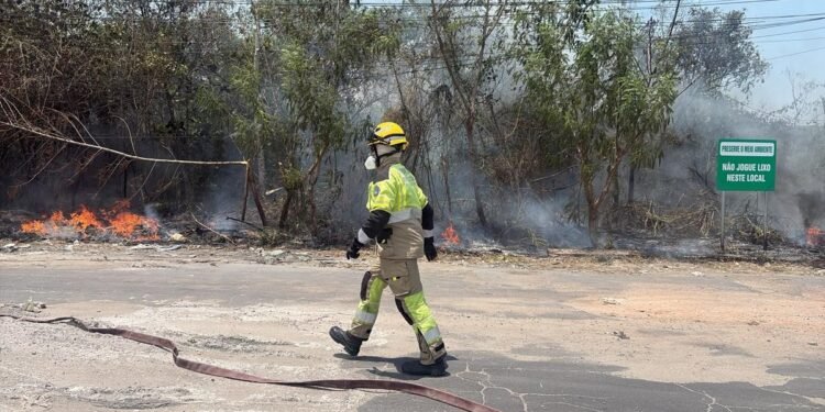 Incêndio volta a atingir área de vegetação no Distrito Industrial II, em Manaus