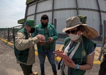 Ipaam multa responsável por área atingida por incêndio em R$ 5,5 milhões