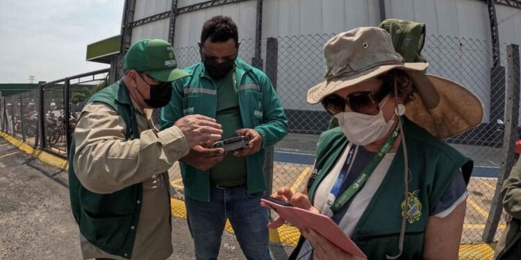 Ipaam multa responsável por área atingida por incêndio em R$ 5,5 milhões