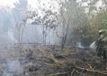 Bombeiros controlam incêndio florestal em Presidente Figueiredo