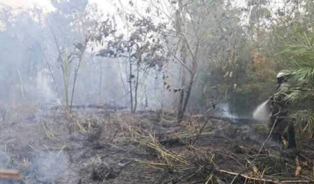 Bombeiros controlam incêndio florestal em Presidente Figueiredo