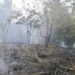 Bombeiros controlam incêndio florestal em Presidente Figueiredo