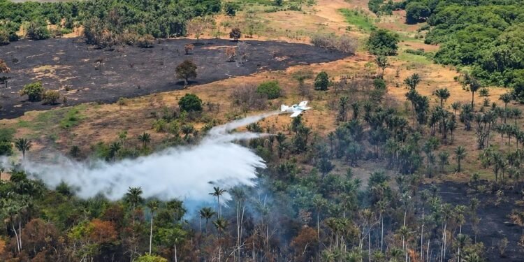 MPC dá 10 dias para AM explicar aluguel de avião com baixa capacidade