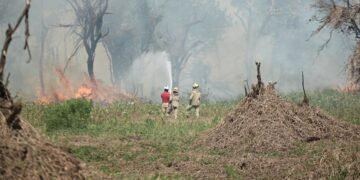 Amazonas registra 1,3 mil focos de incêndio em 12 dias de outubro