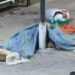 Homem é executado a tiros em rua da Colônia Oliveira Machado