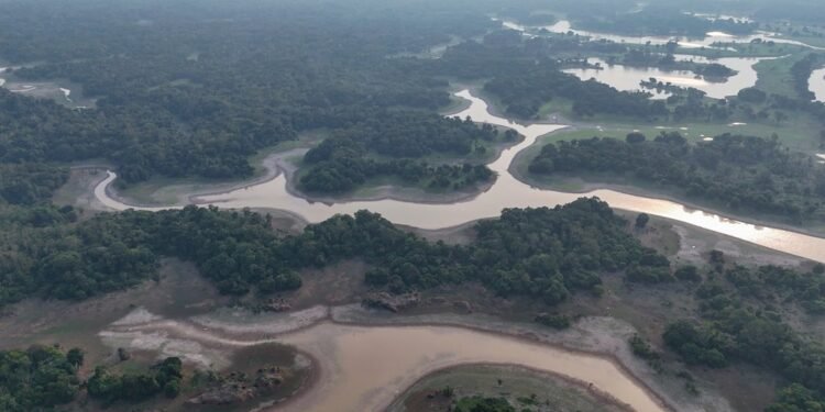 Amazonas decreta emergência em saúde por 180 dias após seca isolar 562 comunidades
