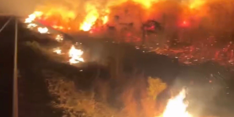 Fumaça que sufoca Manaus pode ter origem em incêndios no Pará, apontam análises
