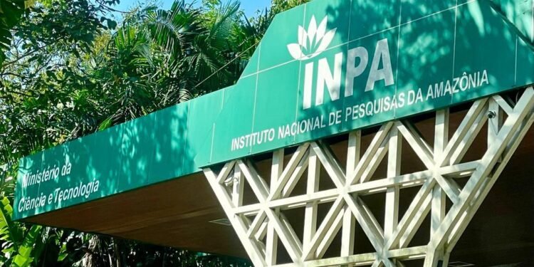 Inpa abre 10 vagas para mestrado em Botânica