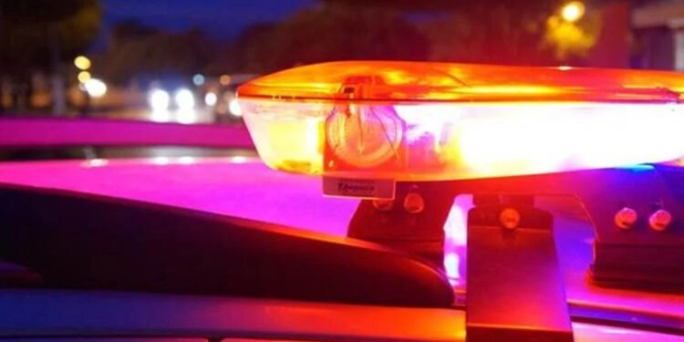 Denúncia de moradores leva à prisão de homem suspeito de abusar de cadela no Amazonas