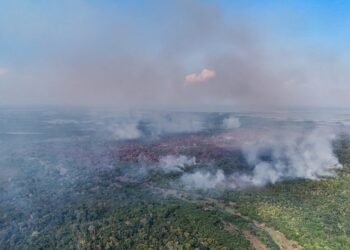 Incêndio florestal em Itacoatiara chega ao 11º dia e fumaça se espalha pela cidade
