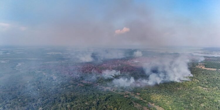 Incêndio florestal em Itacoatiara chega ao 11º dia e fumaça se espalha pela cidade